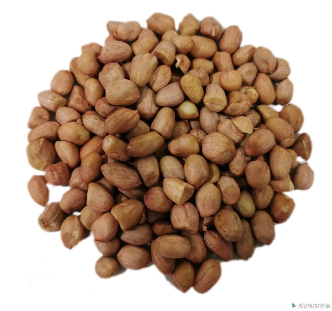 NUT GROUND(BIG) KACANG TANAH (35/40) 安南花生(大粒)