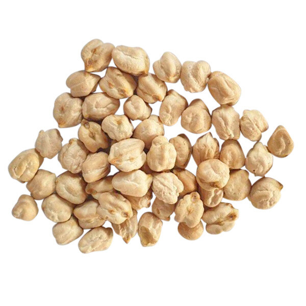 BEAN HORSE 马豆