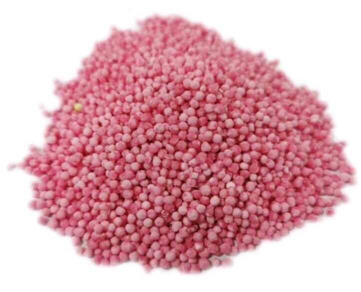 SEED SAGO MERAH 红沙谷米