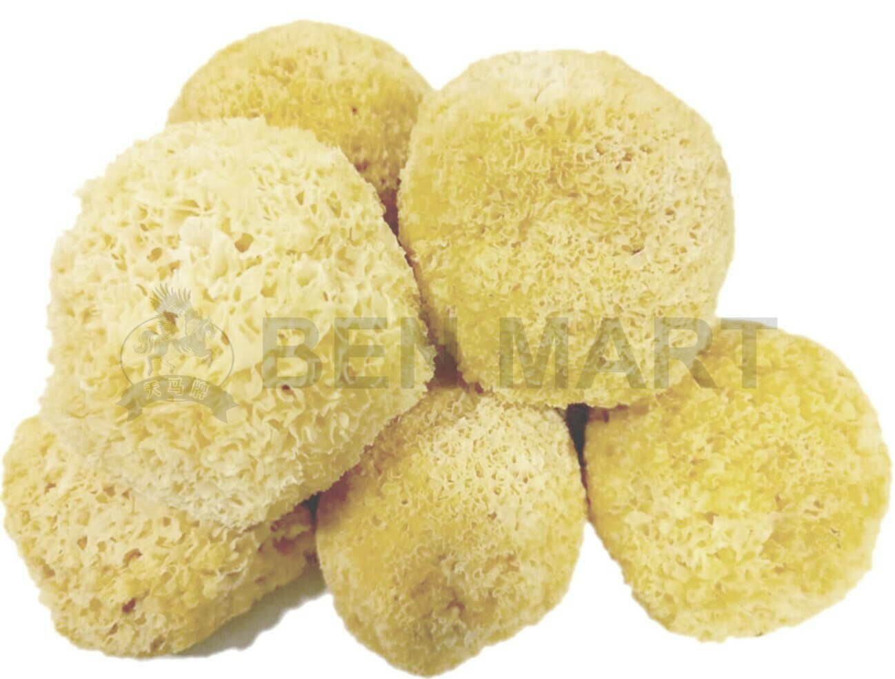 SNOW BALL ROUND FUNGUS 漳州银耳球 SNOW BALL ROUND FUNGUS 漳州银耳球