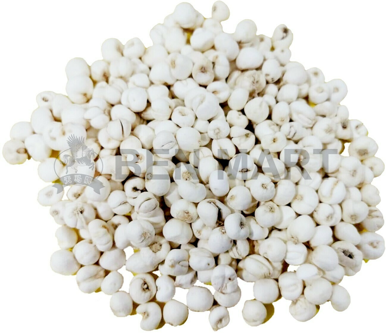 CHUN PIE 川贝 (100G)
