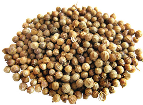 SEED CORIANDER (KETUMBAR) 芫西粒