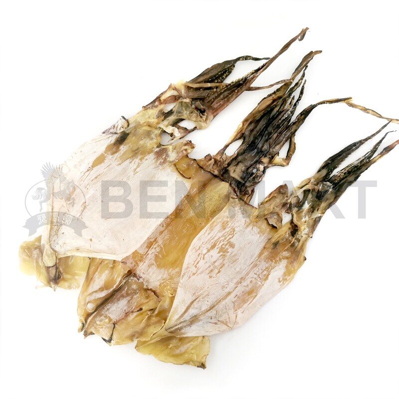 DRIED ARGENTINA SOTONG 阿根廷鱿鱼 (L)