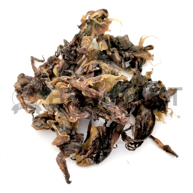 BS DRIED SOTONG HEAD 吊片头 (A)