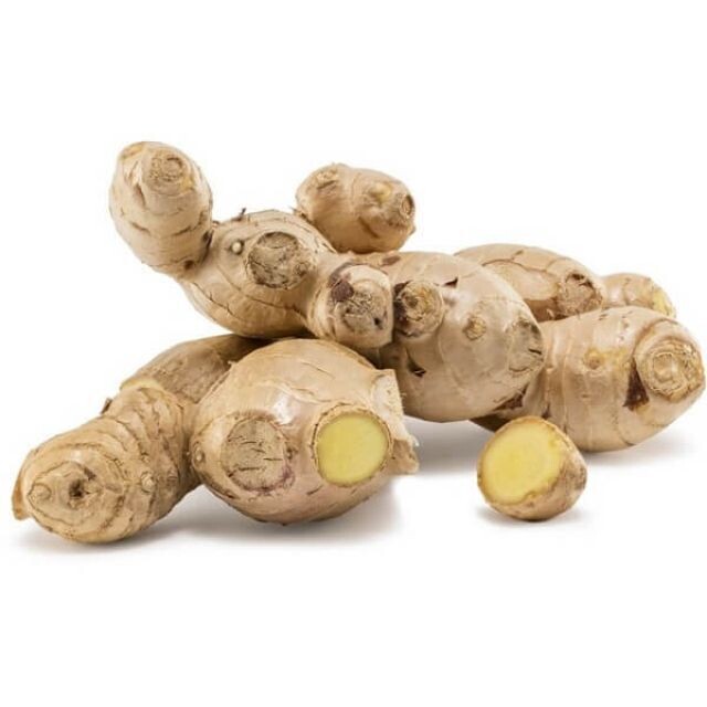 GINGER BENTONG 文冬姜