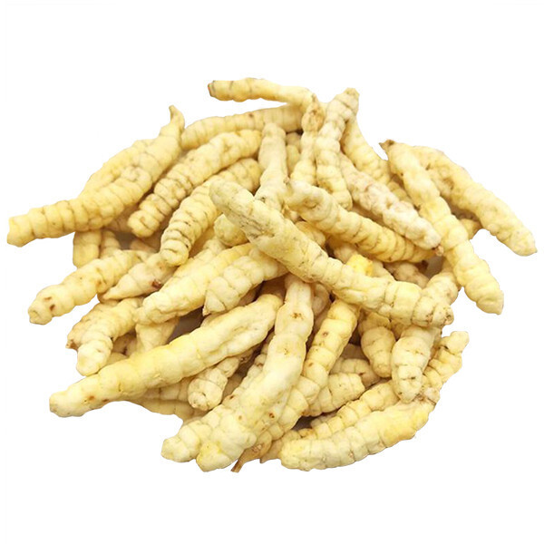 DI CHONG CAO 地蟲草 (100G)