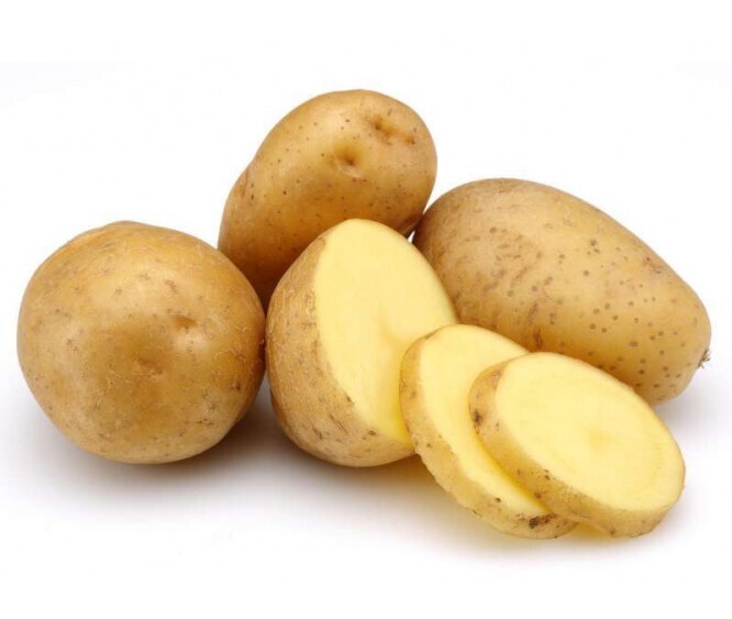 POTATO HOLLAND  马玲薯