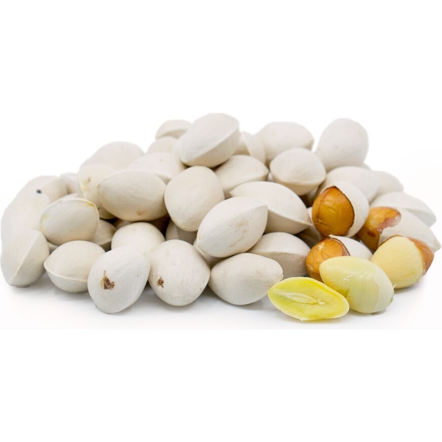 GINGKO NUT 白果