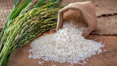 Rice 米