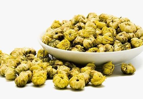 CHRYSANTHEMUM (TAI JU) 桐乡胎菊