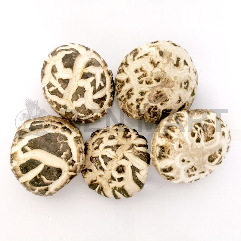 TM MUSHROOM DRIED BAI HUA (AAA1+) 天白花菇 (4CM-5CM)