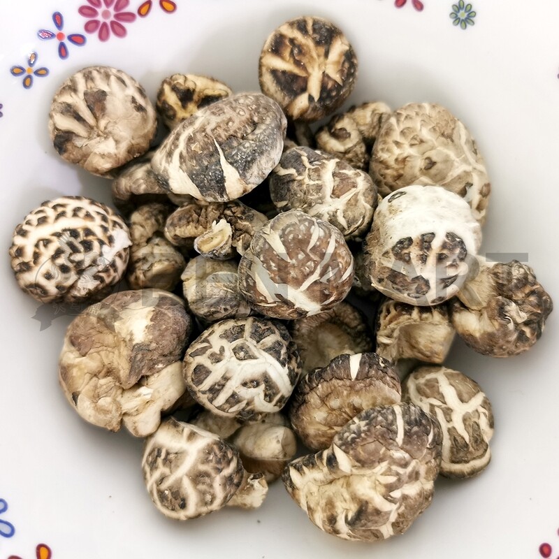 TM MUSHROOM DRIED BAI HUA (AA2) 白花菇 (2.6CM-3.2CM)
