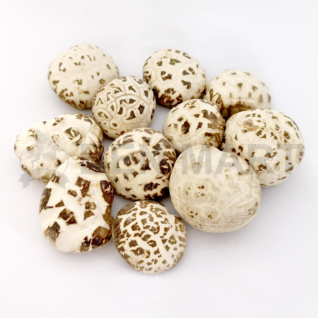 TM MUSHROOM DRIED BAI HUA (AAAA1+) 顶级天白花菇 (4CM-5CM)