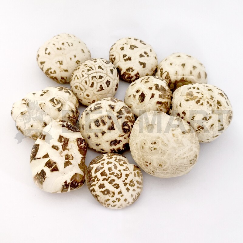 TM MUSHROOM DRIED BAI HUA (AAAA1+) 顶级天白花菇 (4CM-5CM)