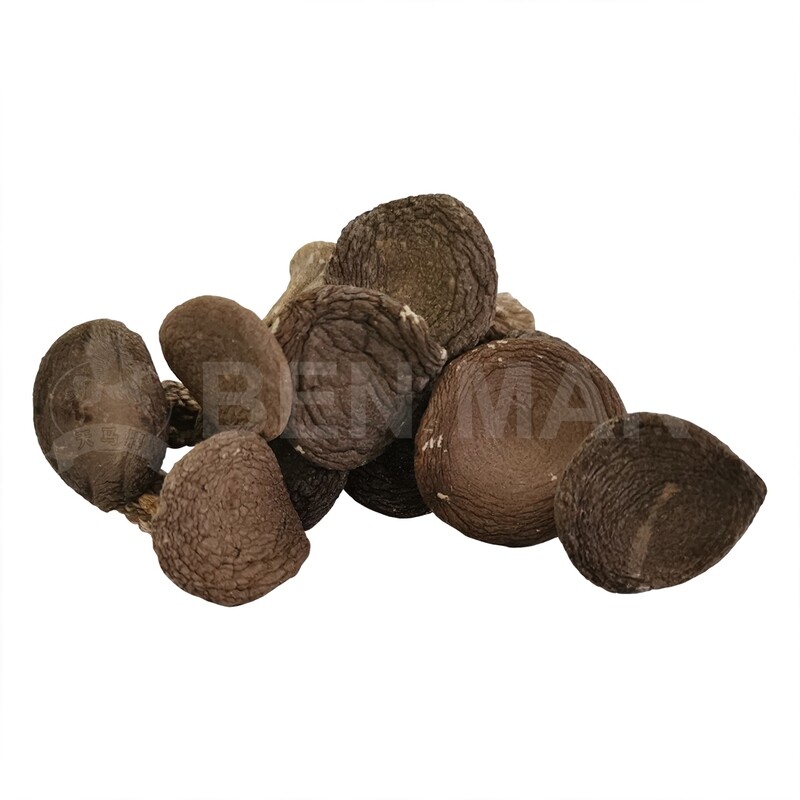 TIGER MILK MUSHROOM (HU NAI GU) 野生虎奶菇
