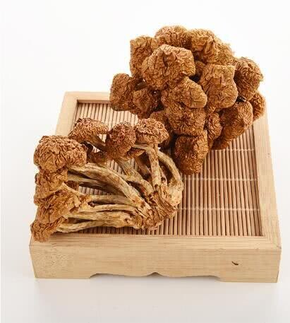 MUSHROOM NAMEKO (HUA ZI GU) 滑子菇