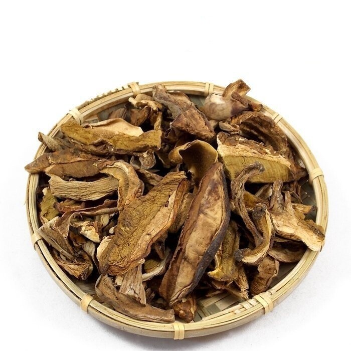 BLOETUS EDULIS (NIU GAN JUN) 牛肝菌