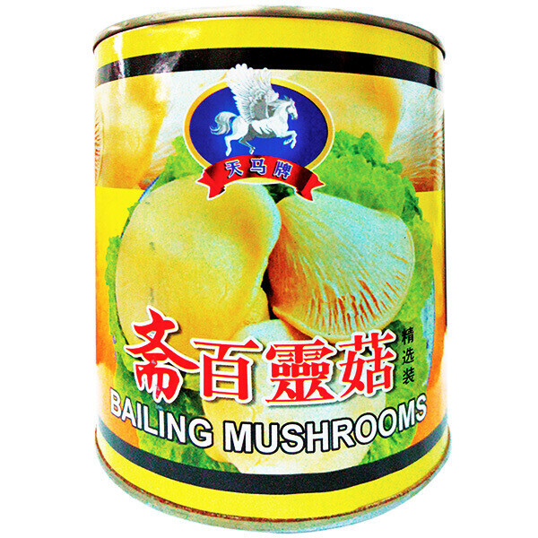 TM BAILING MUSHROOM 天马斋白灵菇 (850G)