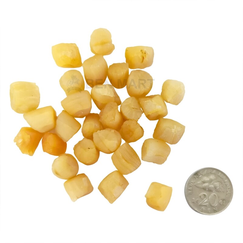 BM CHINA DRIED SCALLOP 大莲彩贝 (400')