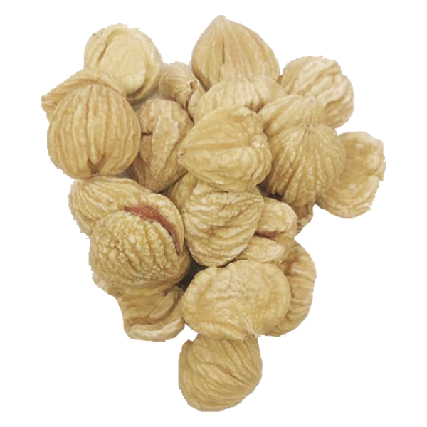 NUT CHESTNUT 风律/栗子 (5L)