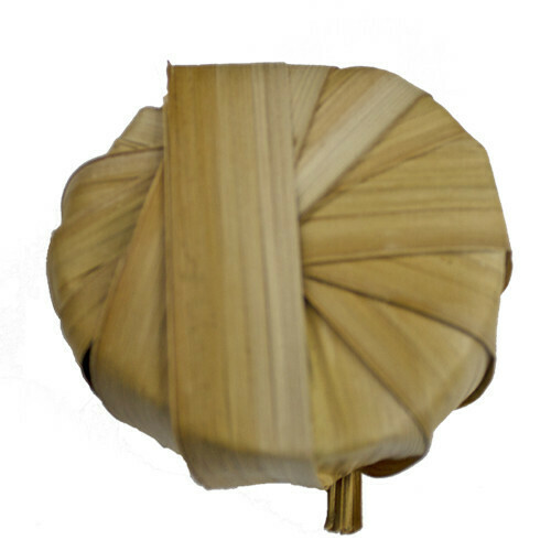 SUGAR PALM WITH LEAVES 有叶 椰糖