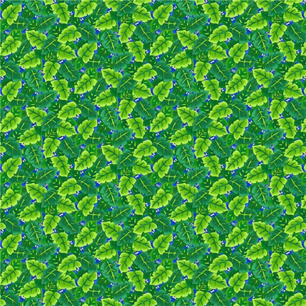I Spy In The Amazon Leaves
