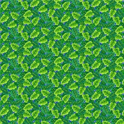I Spy In The Amazon Leaves