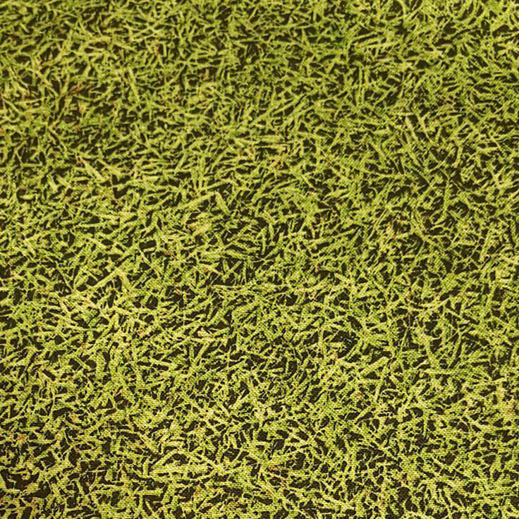 Naturescapes Grass