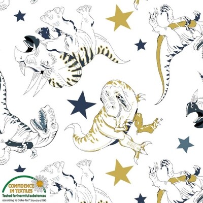 Avalana Jersey Dinosaurs and Stars