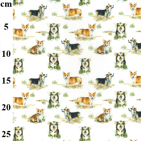 Dogs On White Dogs On White