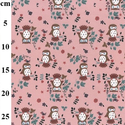 Owls On Pink