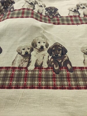 Peeking Puppies