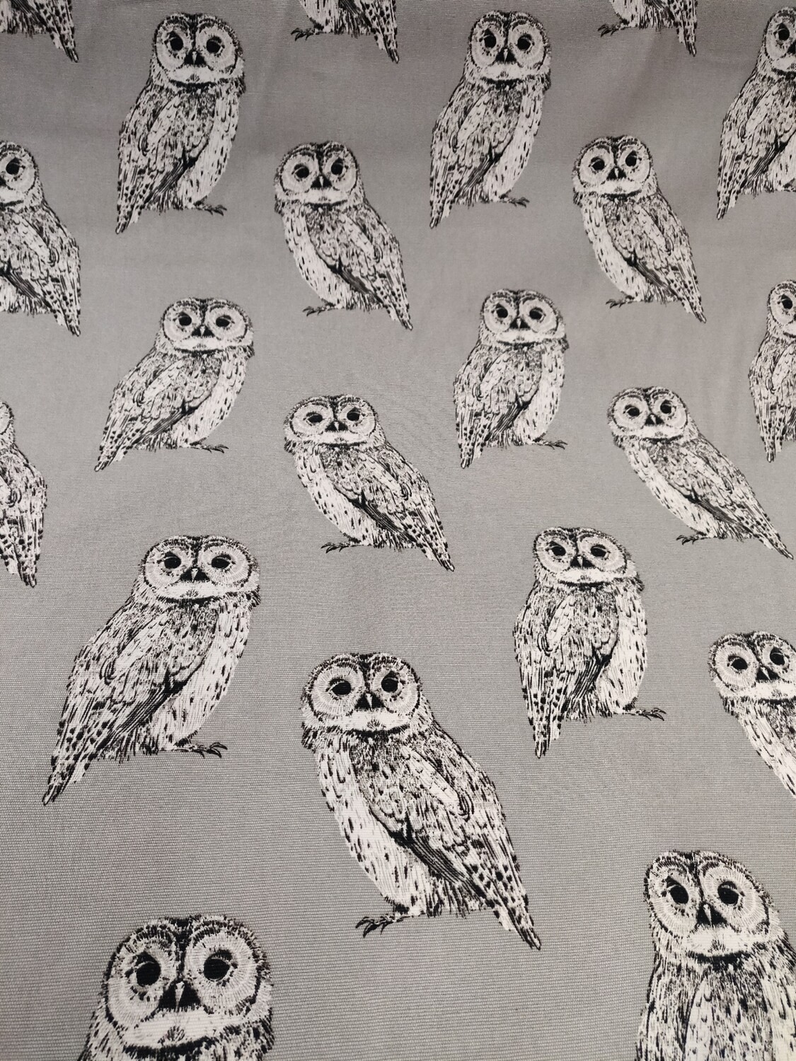 Wise Owls