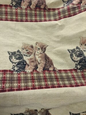 Climbing Cats