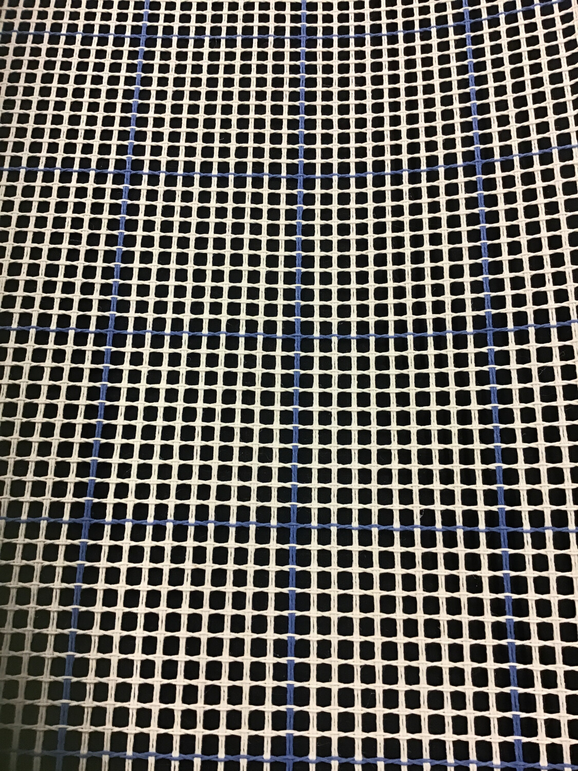 Rug Canvas