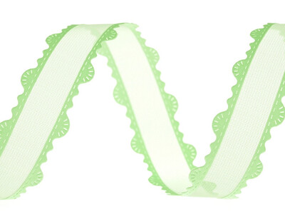 Spring Organza Ribbon 13.5 Metres/20mm Wide - Fresh Green