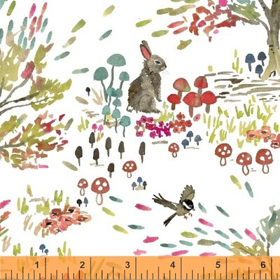 Enchanted Forest