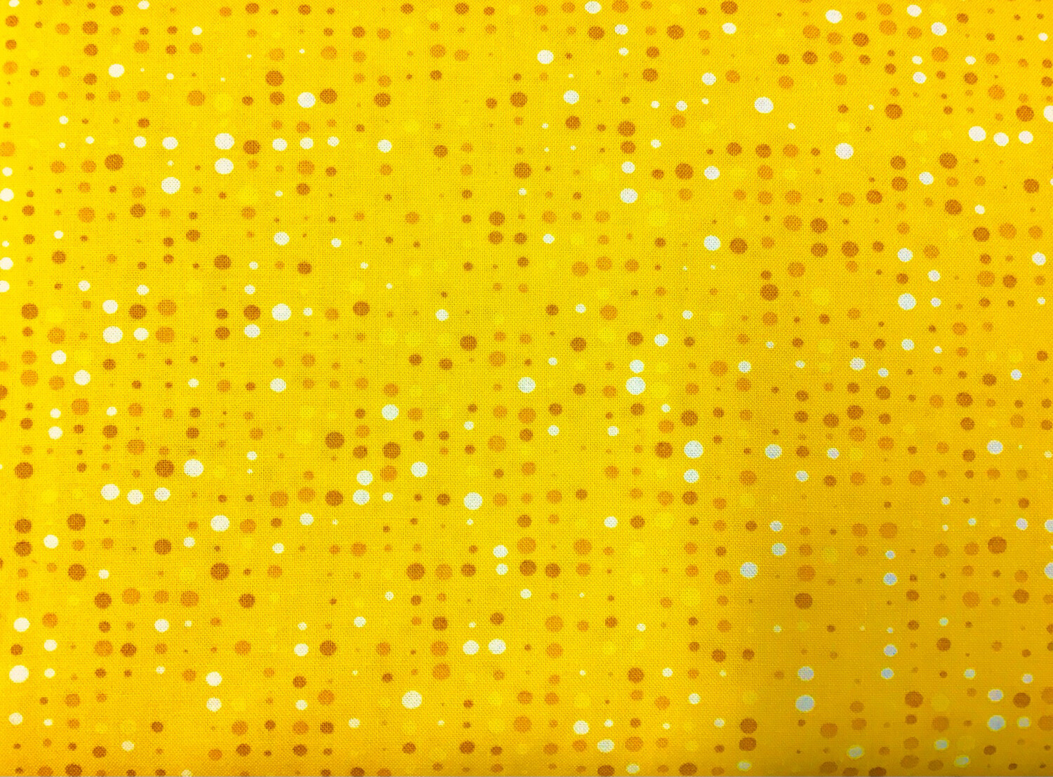 Colour Fun