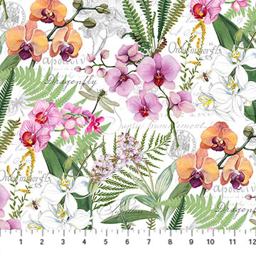 Orchids In Bloom