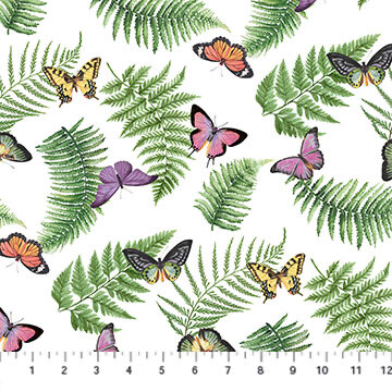 Orchids In Bloom - Ferns And Butterflies 
