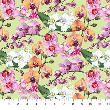 Orchids In Bloom - Orchids On Green