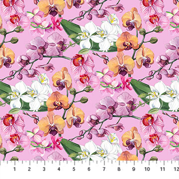 Orchids In Bloom - Orchids On Pink