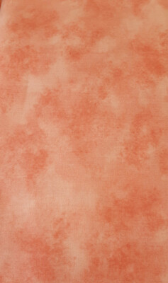 Splendor Coral Shadow