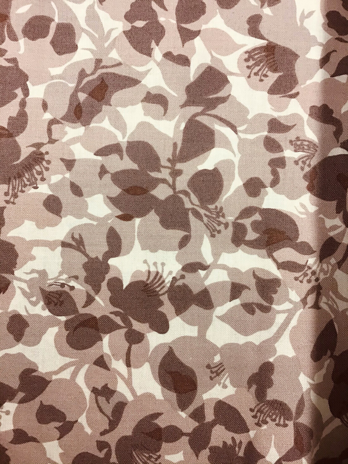 Chocolat Shadows