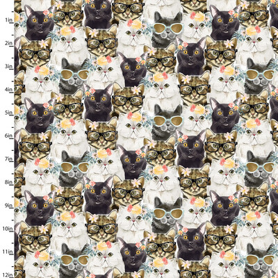 Every Day Is Caturday