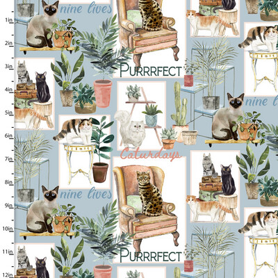 Everyday Is Caturday - House Cats