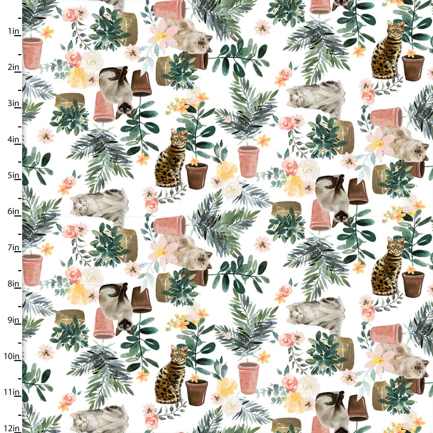 Everyday Is Caturday - Houseplants