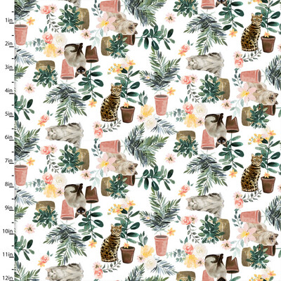 Everyday Is Caturday - Houseplants