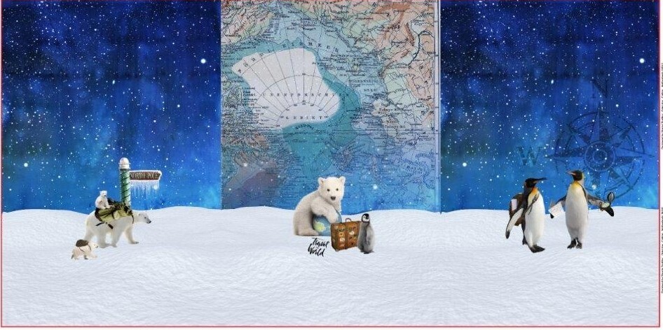 North Pole Panel