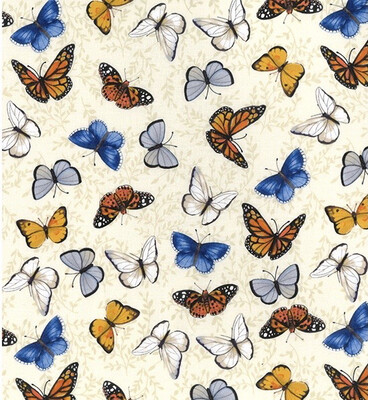 Butterfly On Ivory Butterfly On Ivory